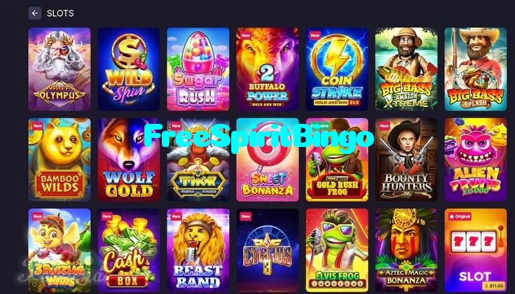 FreeSpiritBingo